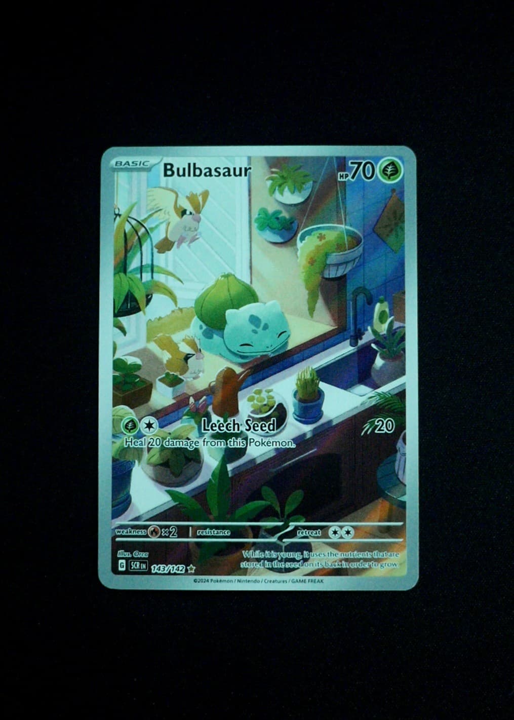 Bulbasaur Pokemon SV07: Stellar Crown SCR #143/142 Holo Near Mint