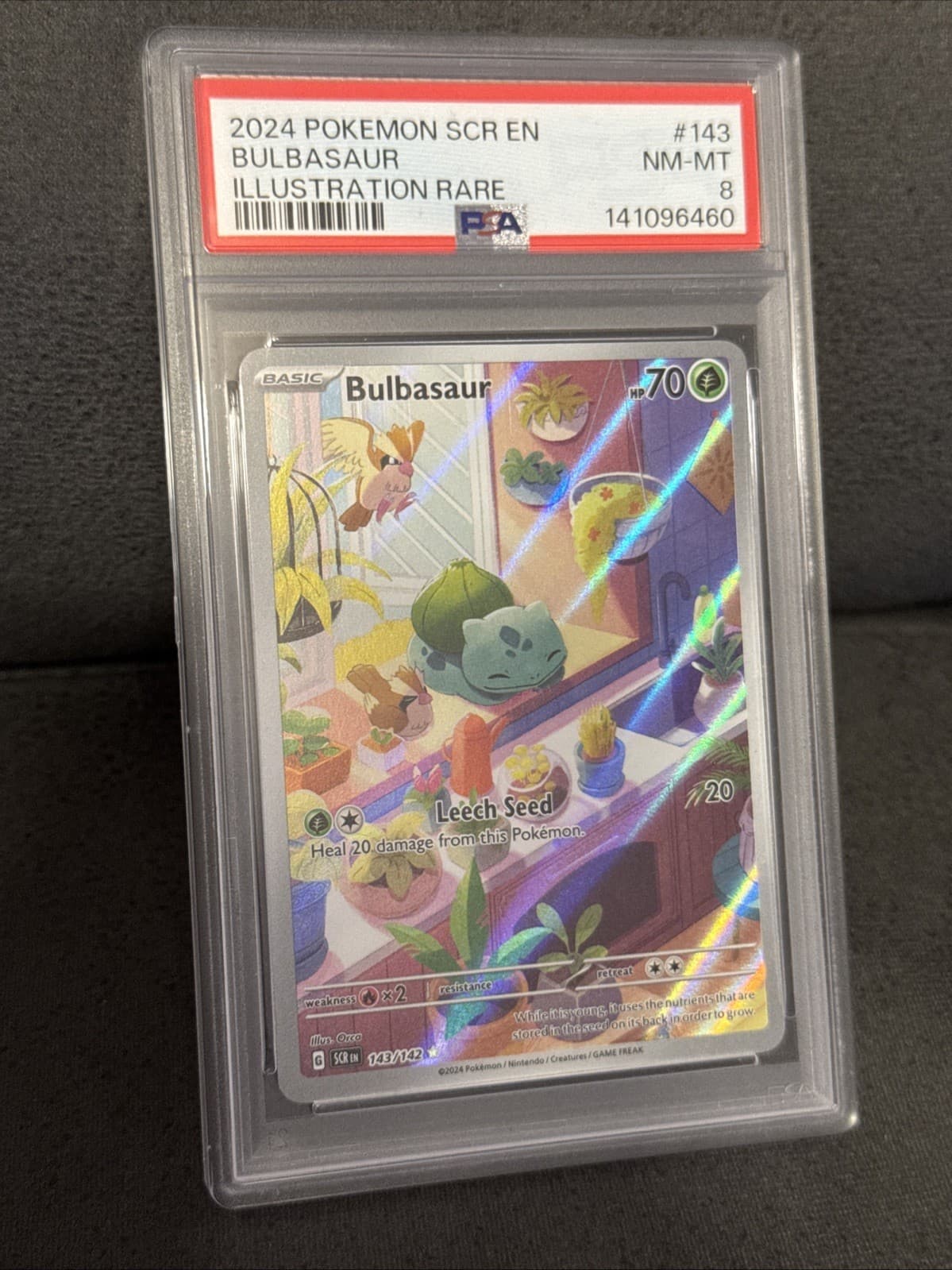 Bulbasaur 2024 Pokemon Stellar Crown Illustration Rare Card 143/142