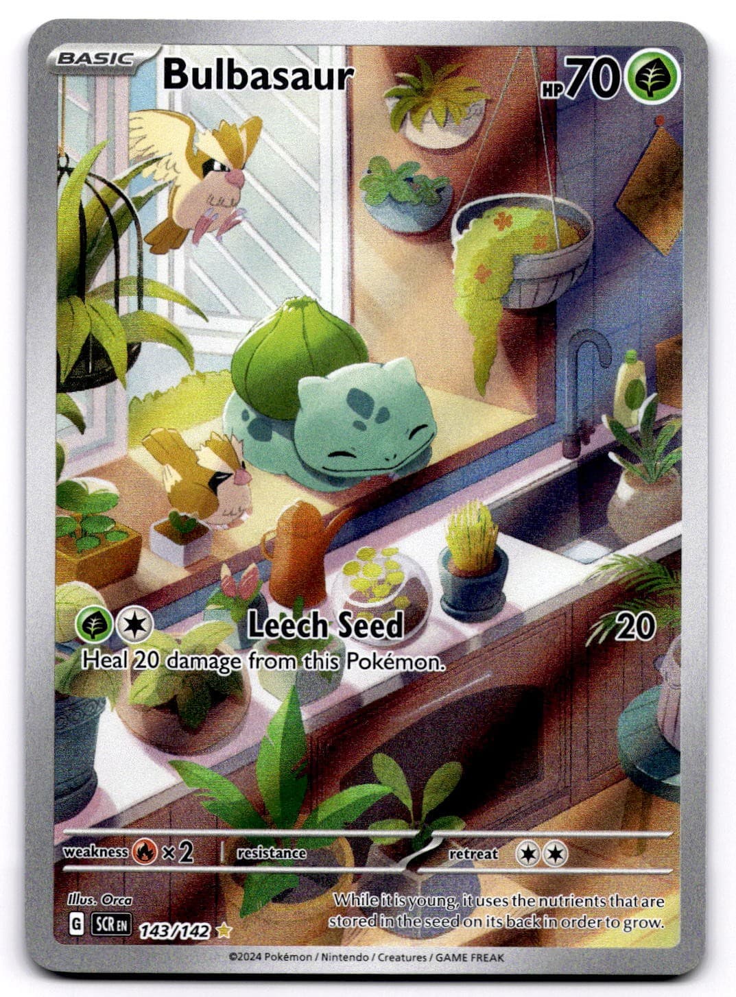 Bulbasaur 143/142 SV Stellar Crown Illustration Rare Pokemon Card - NM