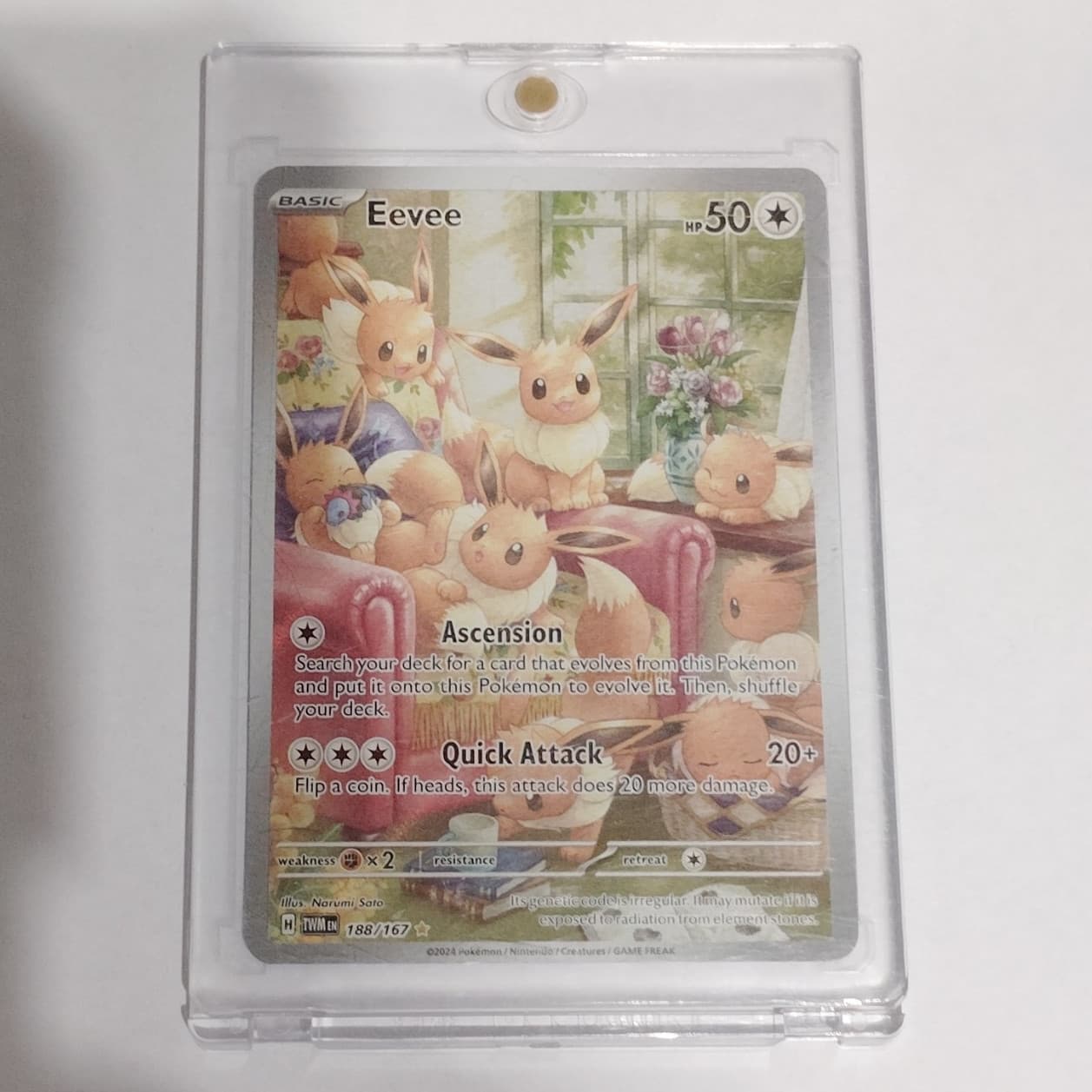 The Pokemon Company Eevee 188/167 Twilight Masquerade IR Holo English 2024