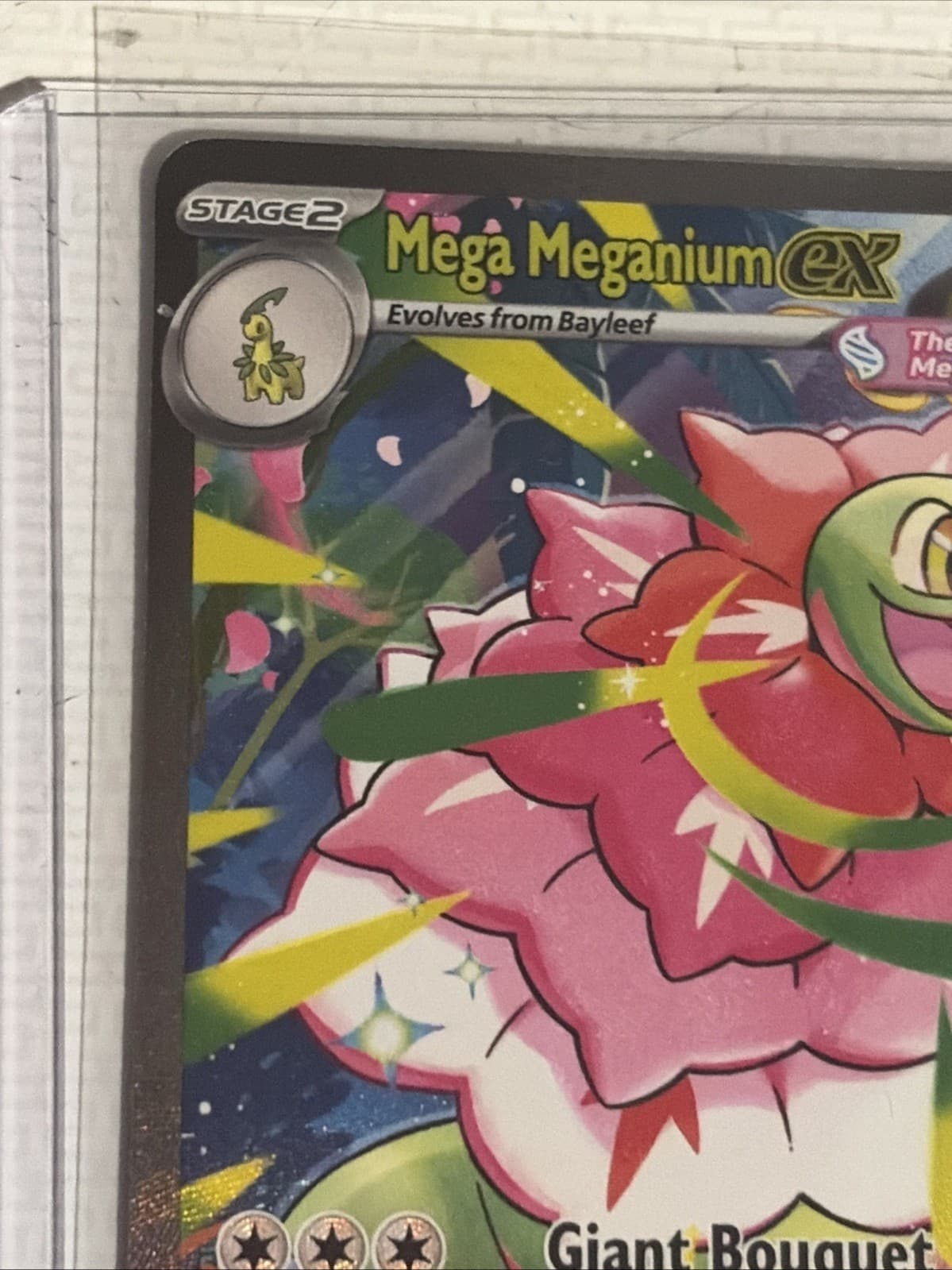 Mega Meganium ex - 272/217 - ME: Ascended Heroes (ASC)