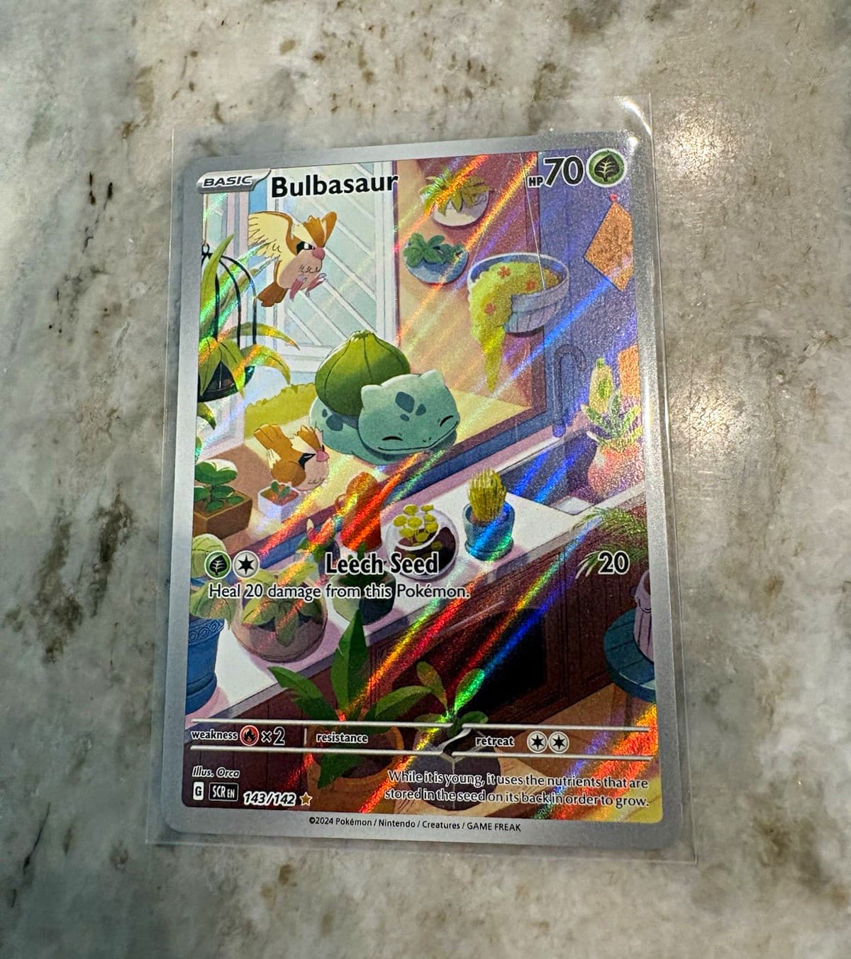 Bulbasaur 143/142 SV07 Stellar Crown Illustration Rare Holo English 2024