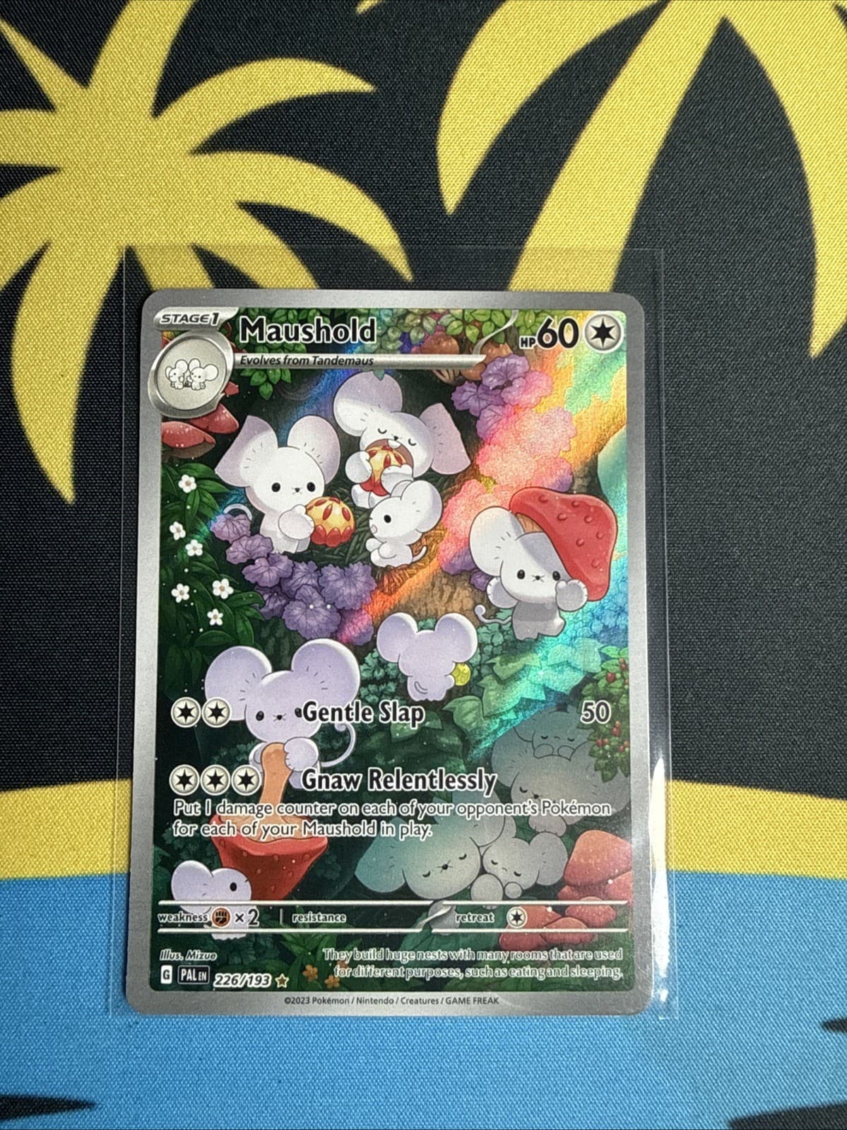 2023 Pokemon Paldea Evolved Maushold Illustration Rare 226/193