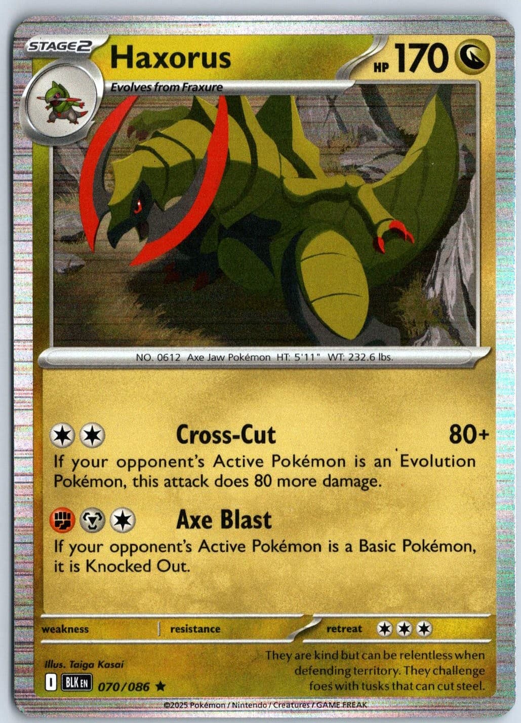 Haxorus 70/86 BLK Holo NM