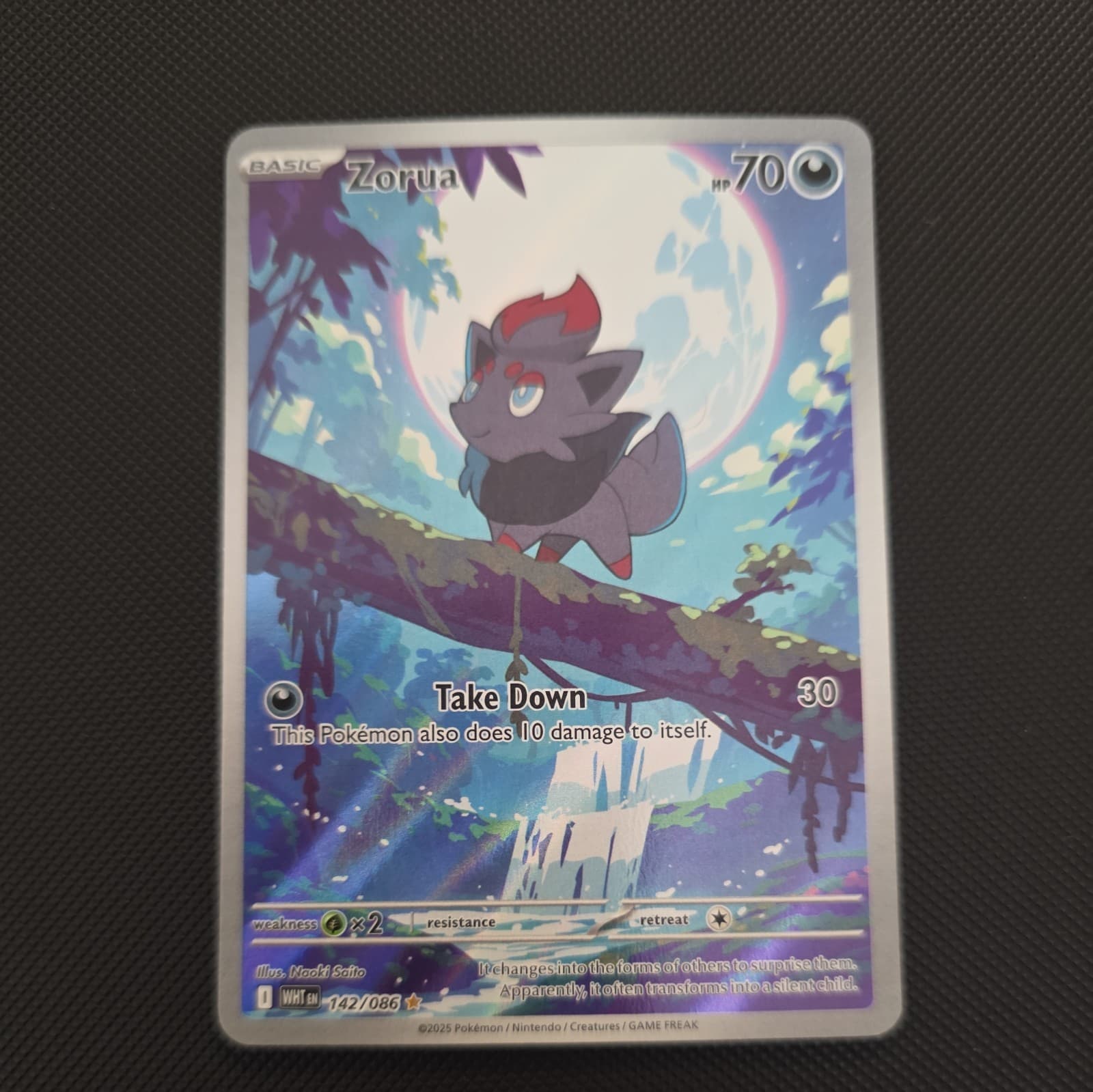 Pokémon TCG - Zorua 142/086 Sv: White Flare Holo - Near Mint NM 