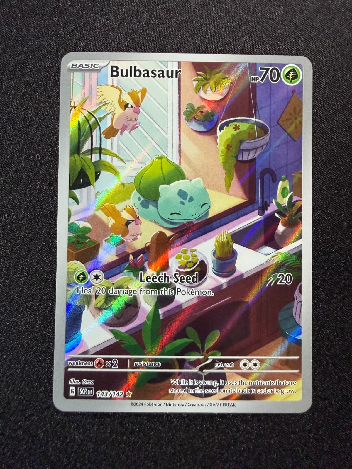 2024 Pokemon Stellar Crown Bulbasaur Full Art Rare Holo 143/142 MINT