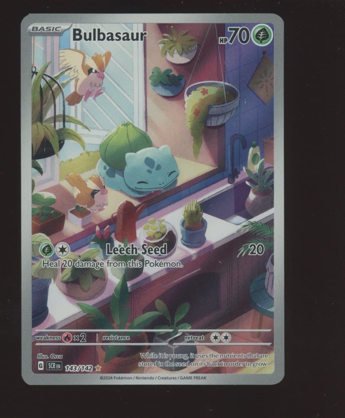 Pokemon TCG Stellar Crown 143/142 Bulbasaur Illustration Rare