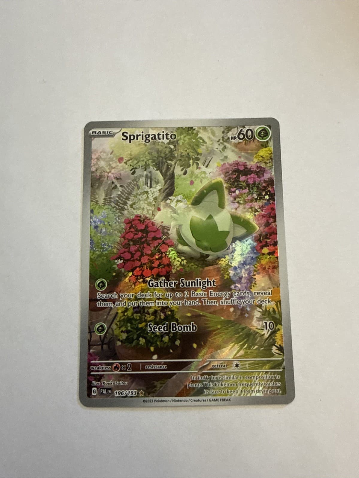 Pokémon TCG Sprigatito Illustration Rare Full Art Holo Sv02 196/193 60HP EN