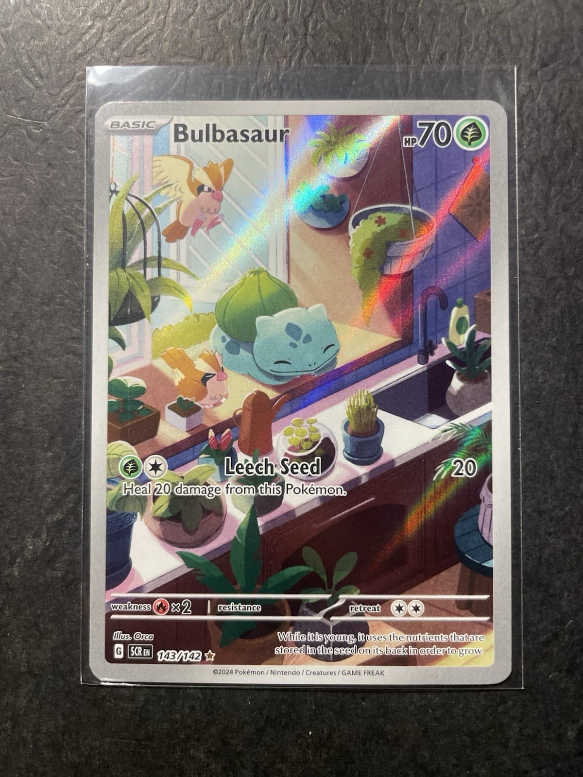 Pokemon TCG Bulbasaur 143/142 Stellar Crown IR Holo Full Art NM