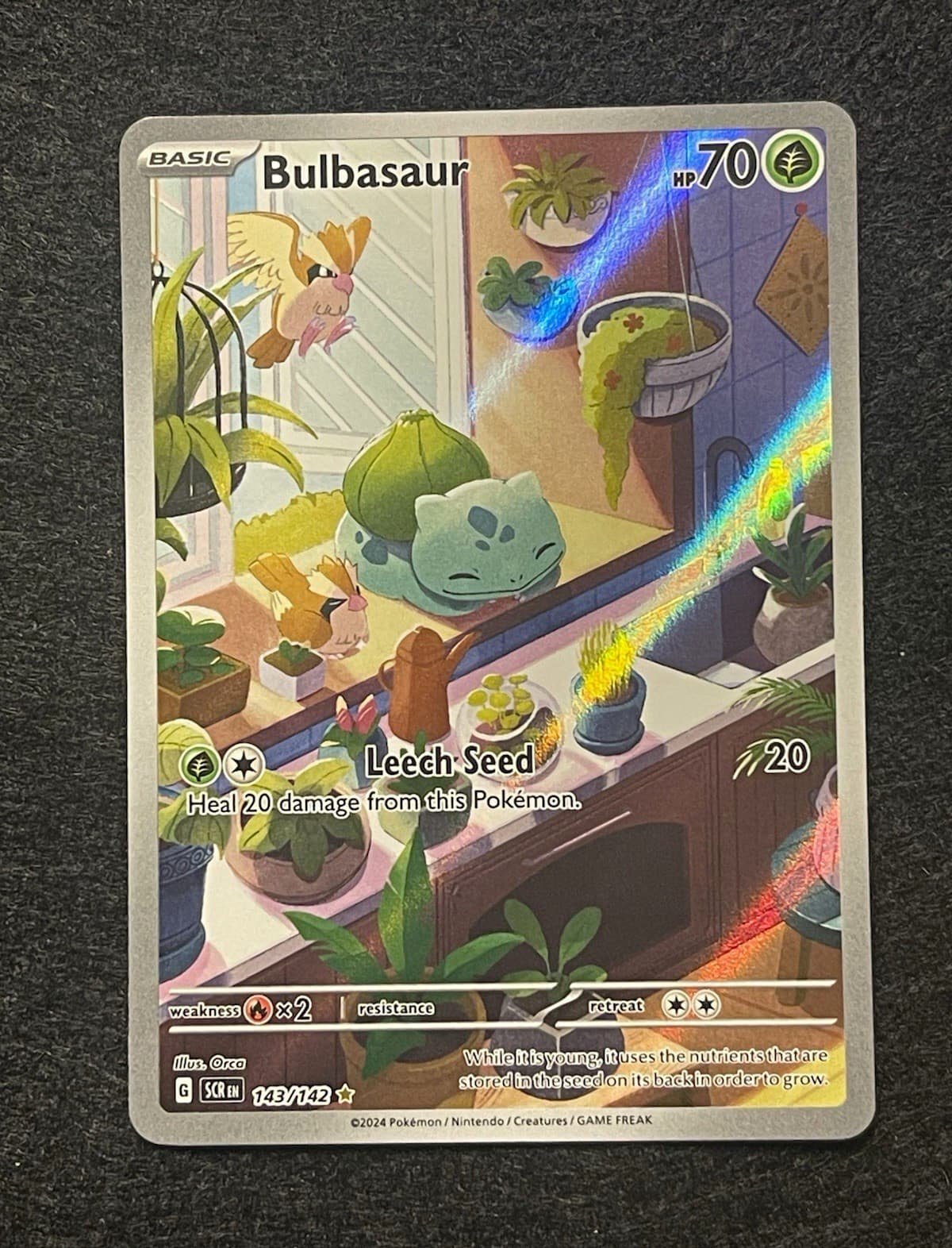 The Pokémon Company Bulbasaur 143/142 Sv07 Stellar Crown IR Holo English 2024