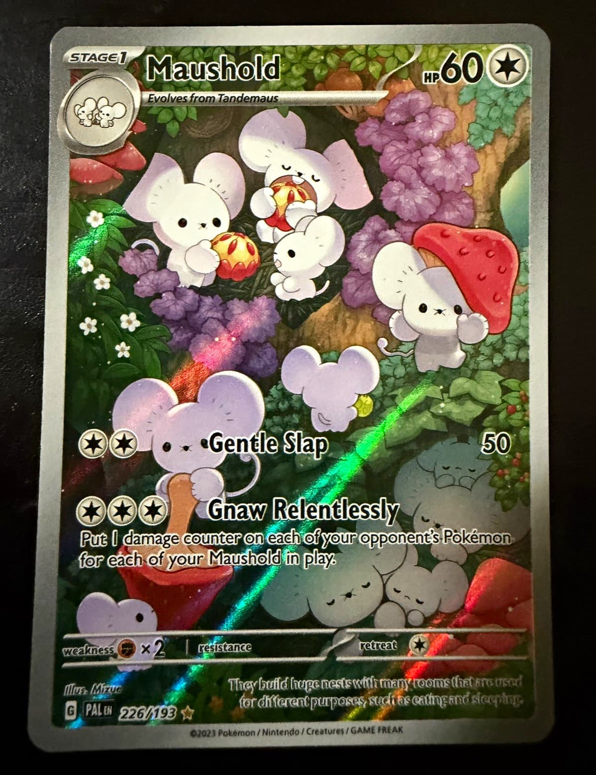 Pokemon Maushold 226/193 Paldea Evolved Illustration Rare Holo English HP 60