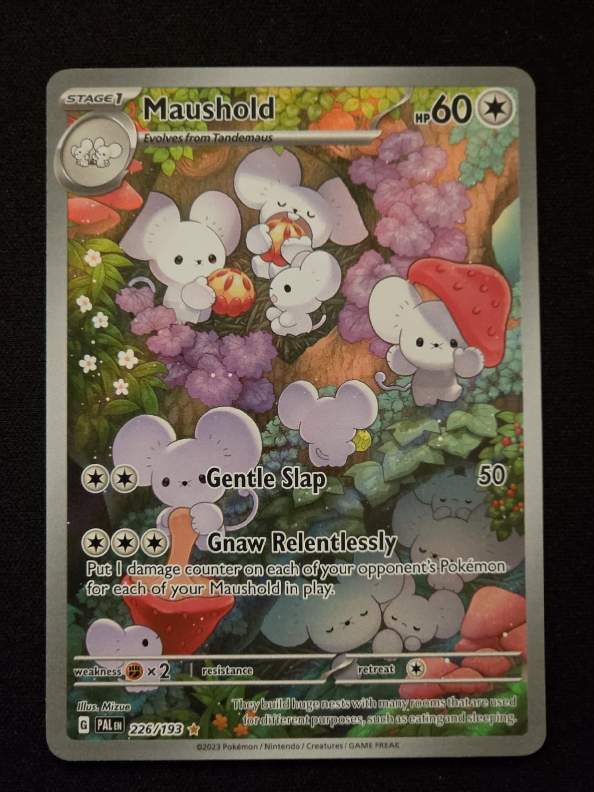 Pokemon Maushold 226/193 SV02 Paldea Evolved Illustration Rare Full Art Holo ENG