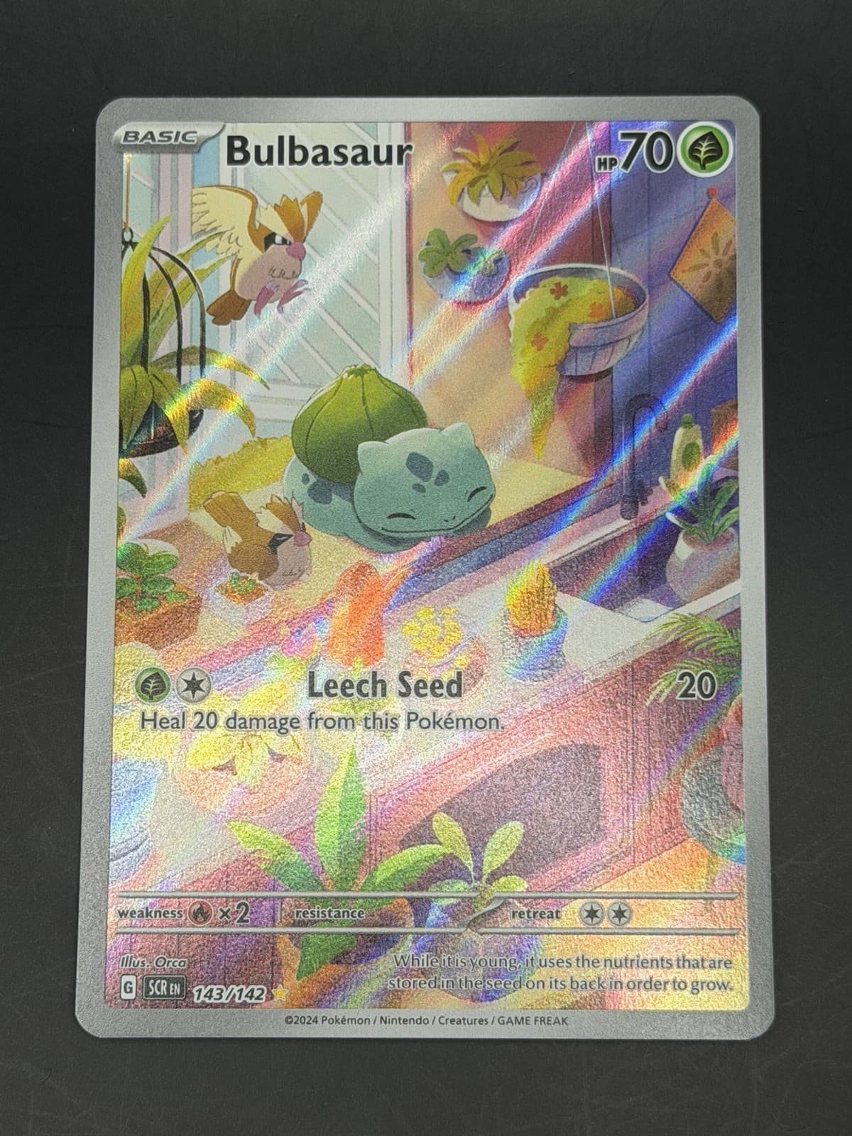 Pokemon TCG Bulbasaur 143/142 SV07 Stellar Crown Illustration Rare Holo EN