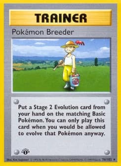 Pokémon Breeder Base 76