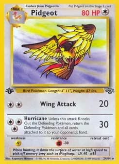 Pidgeot Jungle 24