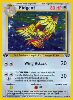Pidgeot Jungle 8