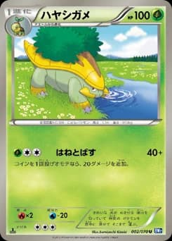 Torterra