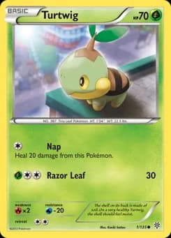 Turtwig Plasma Storm 1
