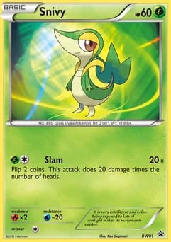 Snivy BW Black Star Promos BW01