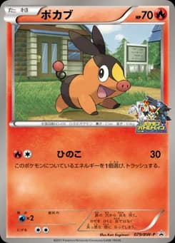 Tepig