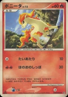 Ponyta