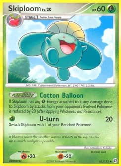 Skiploom Secret Wonders 65