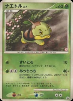 Turtwig