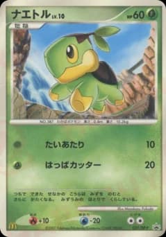Turtwig