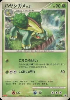 Torterra