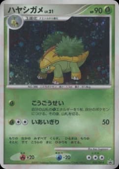 Torterra