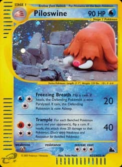 Piloswine Skyridge H22