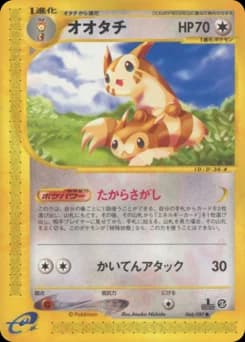 Furret