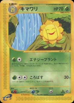 Sunflora