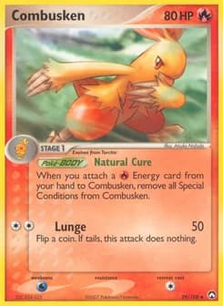 Combusken Power Keepers 29