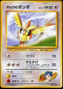 Koga's Pidgeot