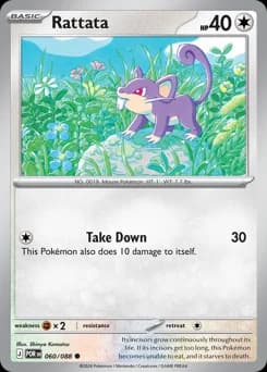 Rattata Perfect Order 60