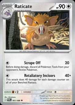 Raticate Perfect Order 61