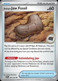 Antique Jaw Fossil
