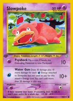 Slowpoke Neo Genesis 73