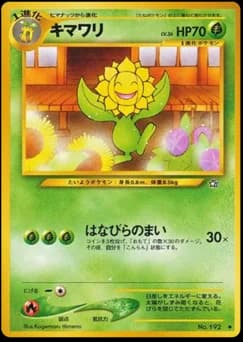 Sunflora