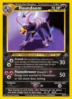 Houndoom Neo Discovery 23