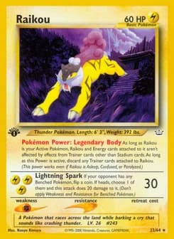 Raikou Neo Revelation 22