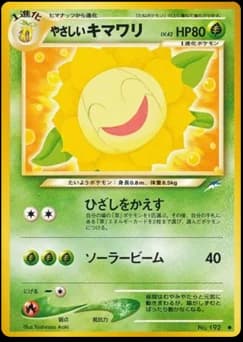 Gentle Sunflora