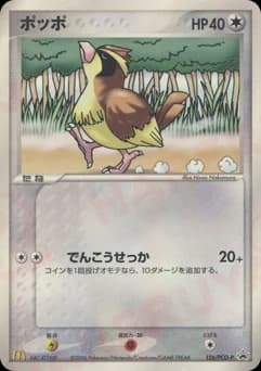 Pidgeotto