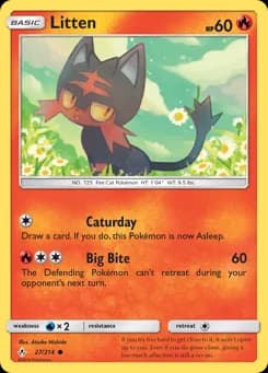 Litten Unbroken Bonds 27