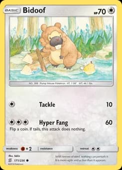 Bidoof Unified Minds 171