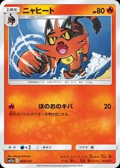 Torracat