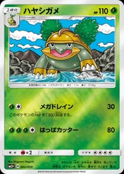 Torterra