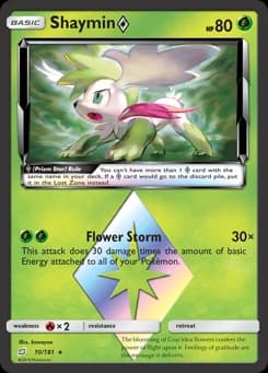 Shaymin ◇ Team Up 10