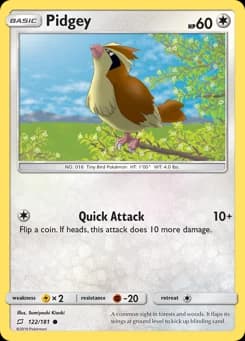 Pidgey Team Up 122